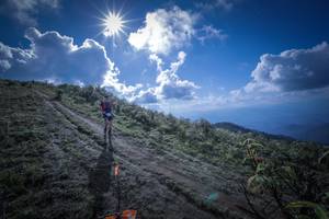 BIB: 5033
                            <button type="button" onclick="openModal(15955429)" class="btn btn-primary btn-sm float-right btn-popup" data-toggle="modal" data-target=".modal-high-quality">
                        <i class="fas fa-shopping-cart"></i> Add to Cart
                    </button>
                                            <button type="button" onclick="isThisMe(15955429, true)" class="btn btn-success btn-sm float-right btn-popup btn-isme hidden" data-toggle="tooltip" data-placement="bottom" title="นี่คือรูปของคุณใช่ไหม คลิกที่นี่เพื่อเอาเข้าอัลบั้ม">
                        <i class="fas fa-plus"></i> Add to album
                    </button>
                    <button type="button" onclick="isThisMe(15955429, false)" class="btn btn-warning btn-sm float-right btn-popup btn-isnotme hidden">
                        <i class="fas fa-ban"></i> Remove from album
                    </button>